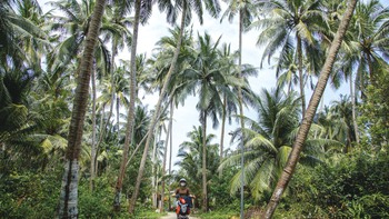 Có một xã đảo rợp bóng dừa đẹp như tranh tại Đà Nẵng