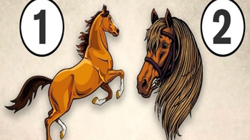 Quiz: Yếu tố gây ra cơn tức giận của bạn là gì?