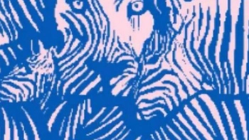 Quiz: Bạn là người hướng ngoại?