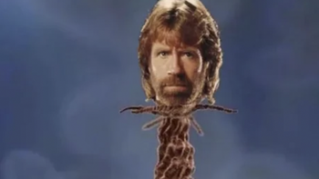 Tạm biệt Chuck Norris - chủ nhân loạt meme nổi tiếng cõi mạng