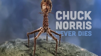Tạm biệt Chuck Norris - chủ nhân loạt meme nổi tiếng cõi mạng