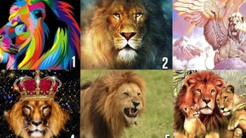 Quiz: Bạn mong muốn mẫu người bạn đời như thế nào?