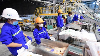 'Tấm khiên' chống sốc từ bên ngoài