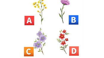 Quiz: 10 năm tới, bạn sẽ đạt được thành quả gì?