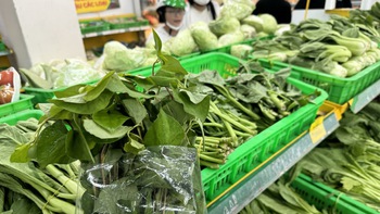 Bạn cần bao nhiêu chất xơ mỗi ngày?