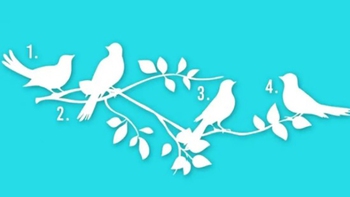 Quiz: Bạn sở hữu trí tuệ sắc bén, tố chất lãnh đạo?