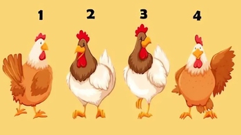 Quiz: Người khác đang nhìn nhận bạn như thế nào?