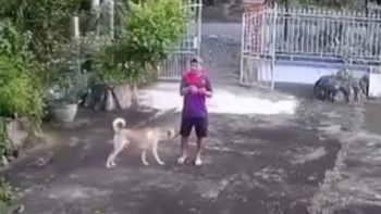 'Anh cứ đứng im, chó nhà em ngoan lắm không cắn đâu'