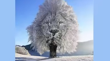 Ảo ảnh thị giác hé lộ mức độ tự tin của bạn trong tình yêu