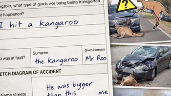 Thực hư bản tường trình tai nạn giao thông chỉ có ở Úc đang viral