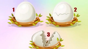 Quiz: Bạn sống tình cảm hay là người thông minh?