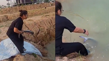 Cô gái thả cá xuống ao đi vào lòng đất