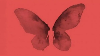 Quiz: Bạn sống giàu tình cảm hay là người chú ý đến điều nhỏ nhặt?