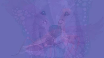 Quiz: Bạn mạnh mẽ, quyết đoán hay là người sống giàu tình cảm?