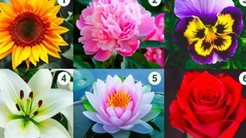 Quiz: Bạn bí ẩn, khó đoán hay là người nhạy cảm, tinh tế?