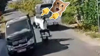 Pha xử lý của cực mượt khiến người xem trầm trồ