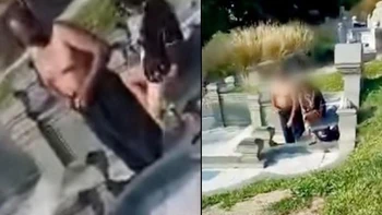 Hết chỗ để 'quậy': cặp đôi ra nghĩa trang để... 'tình tang'