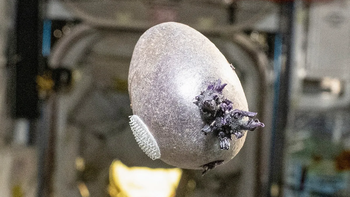 'Vật thể lạ màu tím' do phi hành gia NASA chụp được gây xôn xao