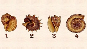 Quiz: Bạn sáng tạo hay là người tinh tế trong giao tiếp?