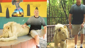 Võ sĩ quyền anh Tyson Fury dắt sư tử đi dạo 'nắn gân' Makhmudov