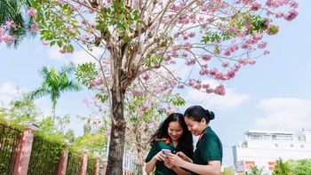 Sắc hồng kèn hồng tô thắm doanh trại