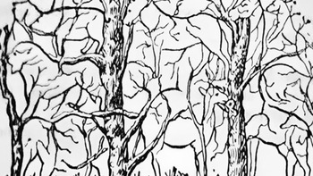 Quiz: Bạn quyết đoán, điềm tĩnh hay đầy tham vọng?