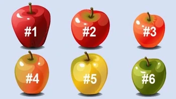 Quiz: Bạn chân thành, thẳng thắn hay là người đơn giản, năng động?