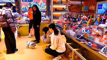 Chủ 9X chi 45 triệu/tháng cho chó cưng đi 'mẫu giáo', dân mạng sốc