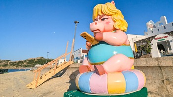 Cô ngựa 'mặt quạu' Quy Nhơn 'đi lạc' ra bãi biển Nhơn Lý