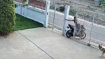 Ông chủ lùi xe máy ra cổng kiểu ngược đời để chó cưng không theo