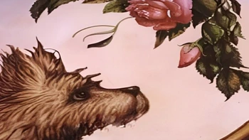 Quiz: Bạn nhạy cảm, tinh tế hay là người sống khép kín?