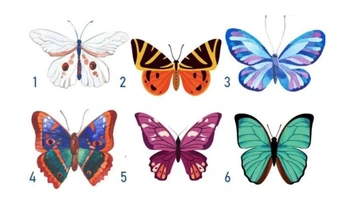 Quiz: Bạn có ý chí mạnh mẽ, luôn vượt khó khăn bằng sự kiên cường?