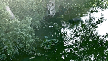 Đi đốn buồng chuối, người đàn ông phát hiện xác chết mất bàn chân phải trôi trên kênh