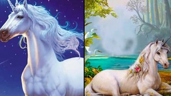 Quiz: Bạn biết cách mang niềm vui cho người khác?