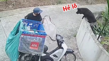 Shipper chạy té khói vì được 'Cậu Vàng' của chủ nhà chào hỏi quá nhiệt tình