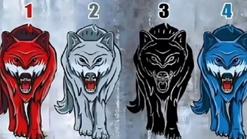 Quiz: Bạn cần không gian riêng tư khi nào?