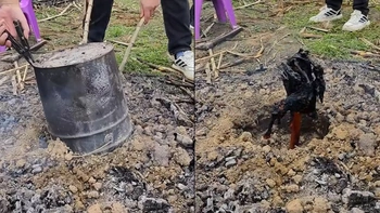 Gà nướng bóng đêm