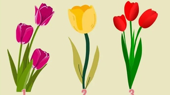 Quiz: Bạn lạc quan và luôn nhìn cuộc sống theo hướng tích cực?