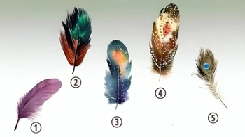 Quiz: Bạn có nội lực mạnh mẽ hay là người giàu lòng vị tha