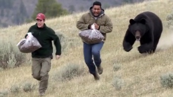 Columbia gây chú ý khi ra mắt bia 'ủ từ phân gấu'