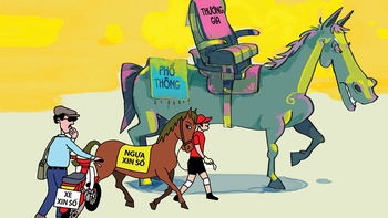 Xăng lên giá, ngựa lên ngôi