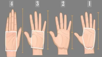 Quiz: Hình dạng lòng bàn tay tiết lộ nhiều bí mật về tính cách bạn