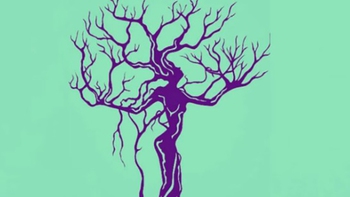 Quiz: Bạn chu đáo, cầu toàn hay là người hòa đồng, dễ gần