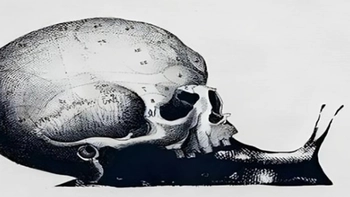 Quiz: Bạn điềm tĩnh và cẩn trọng hay là người nhạy cảm