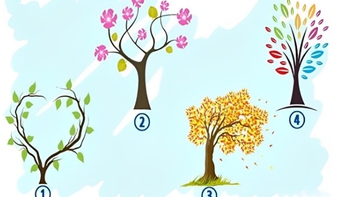 Quiz: Bạn suy nghĩ sâu sắc hay là người tràn đầy nhiệt huyết?