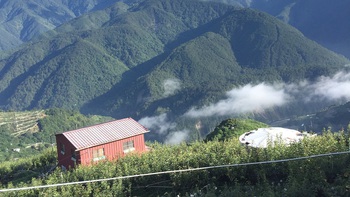 'Hắc công' người Việt ở Đài Loan: Lựa chọn liều lĩnh của những phận đời mưu sinh