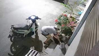 Ngày 8-3, cô gái đi ăn trộm mèo bị bắt quả tang