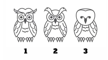 Quiz: Bạn mạnh mẽ, dũng cảm hay là người thích nghi nhanh?