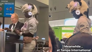 Clip cô gái đội mèo lên đầu làm thủ tục máy bay: Thật hay giả?