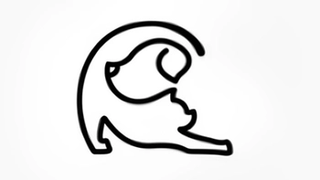 Quiz: Bạn rất tận tâm và coi trọng tình bạn?